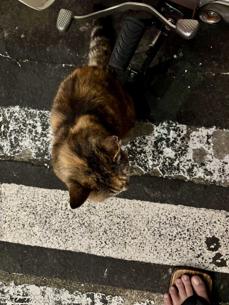 じもんさんの小松湯のサ活写真