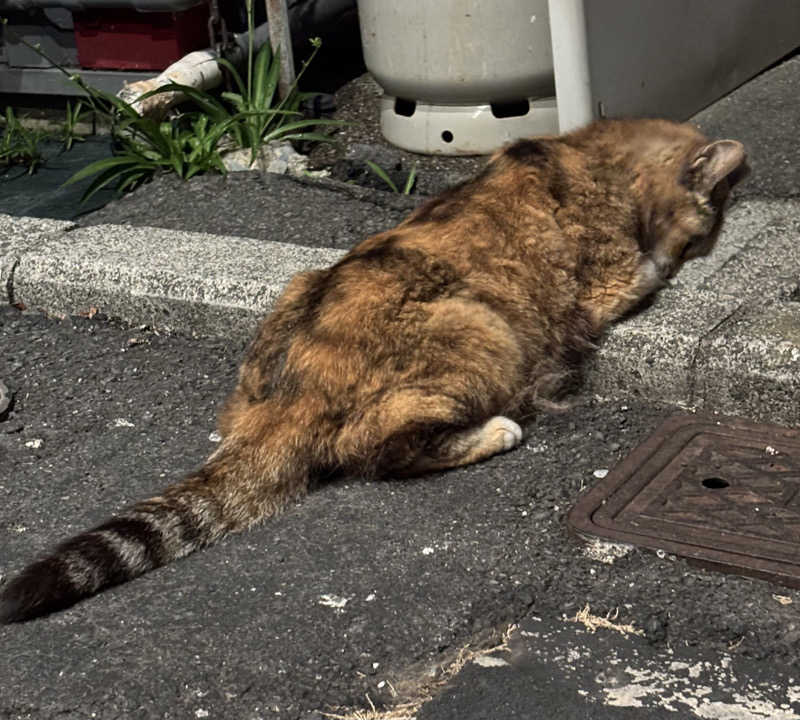 じもんさんの小松湯のサ活写真