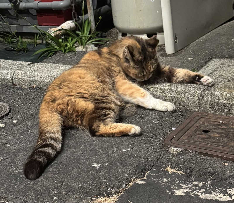 じもんさんの小松湯のサ活写真