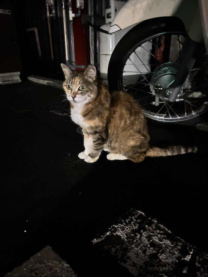 じもんさんのねぎしの湯 大盛舘のサ活写真