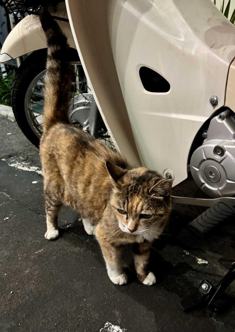 じもんさんの小松湯のサ活写真