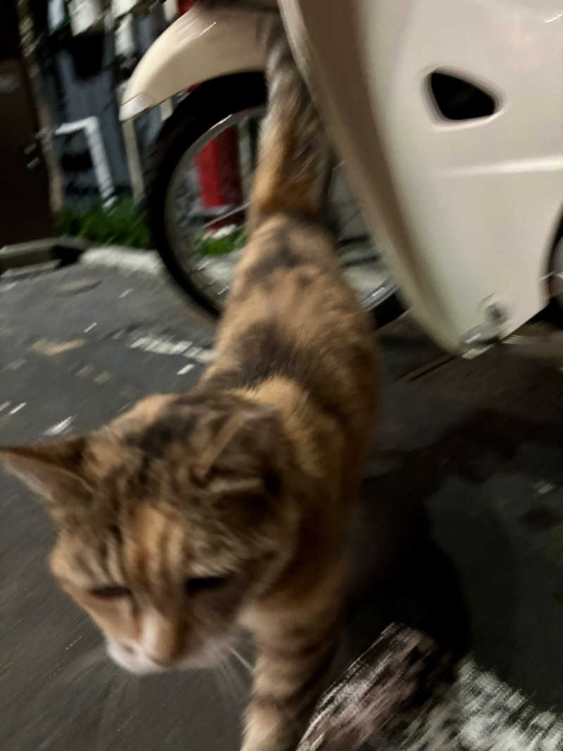 じもんさんの小松湯のサ活写真