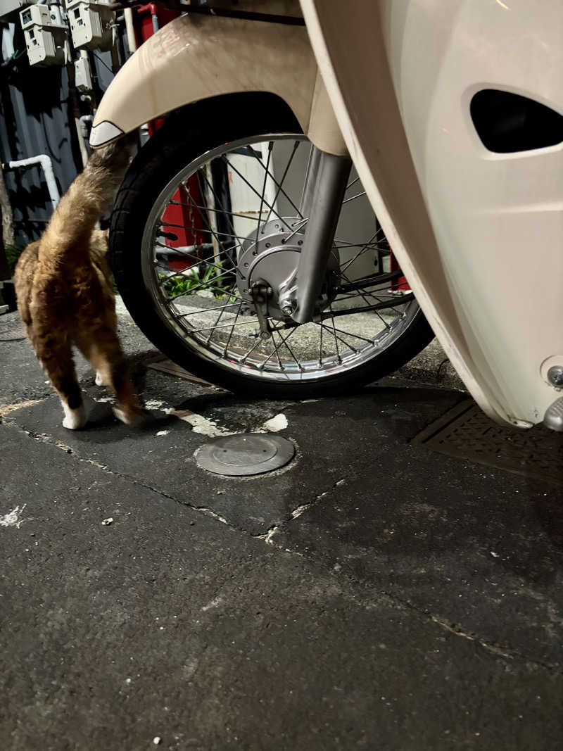 じもんさんの小松湯のサ活写真