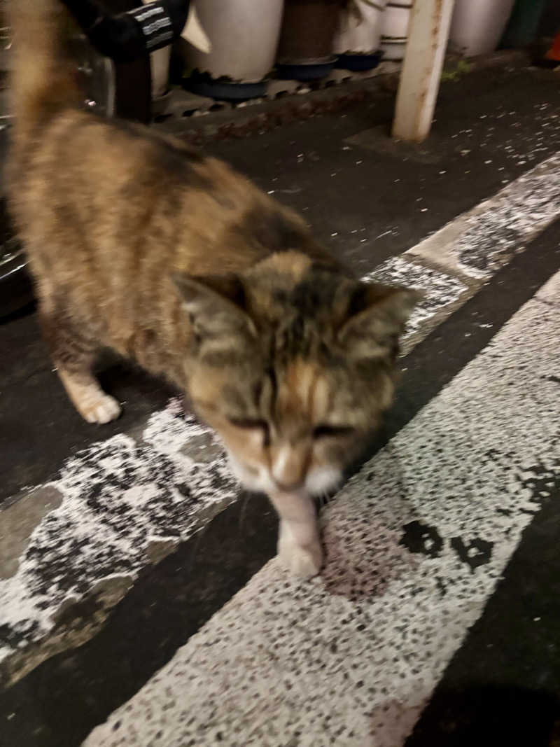 じもんさんの小松湯のサ活写真