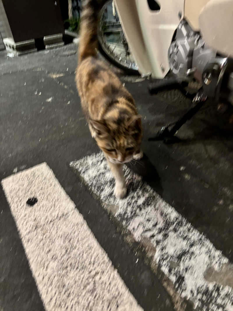 じもんさんの恵びす温泉のサ活写真