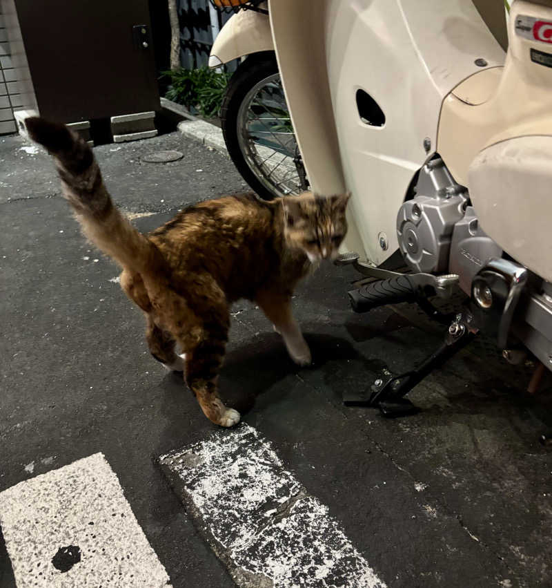 じもんさんの恵びす温泉のサ活写真