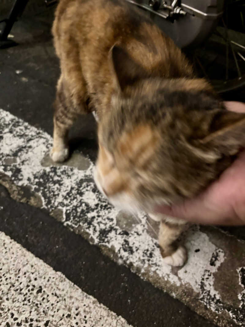 じもんさんの恵びす温泉のサ活写真