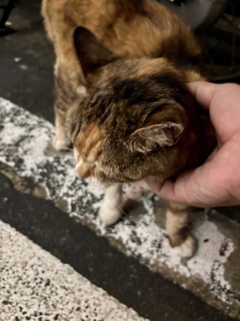 じもんさんの恵びす温泉のサ活写真