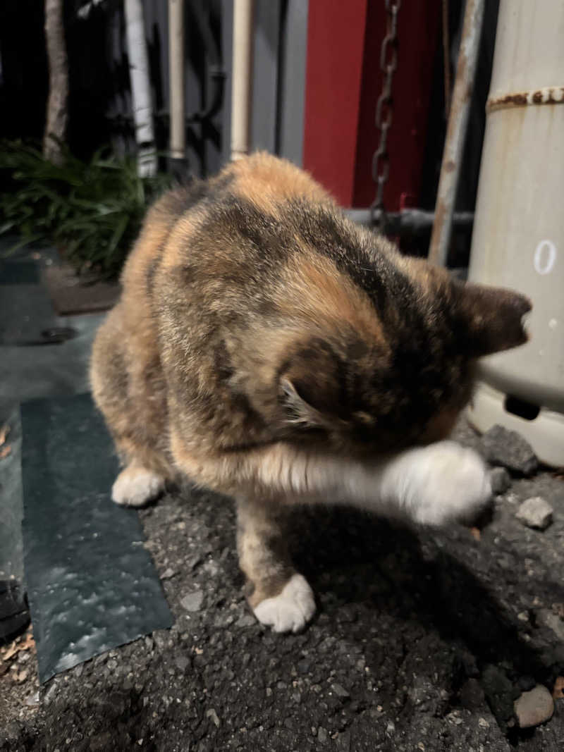 じもんさんの小松湯のサ活写真