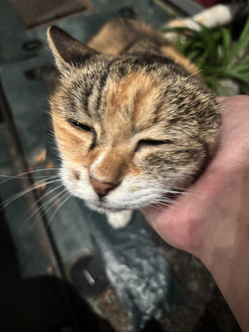 じもんさんの小松湯のサ活写真