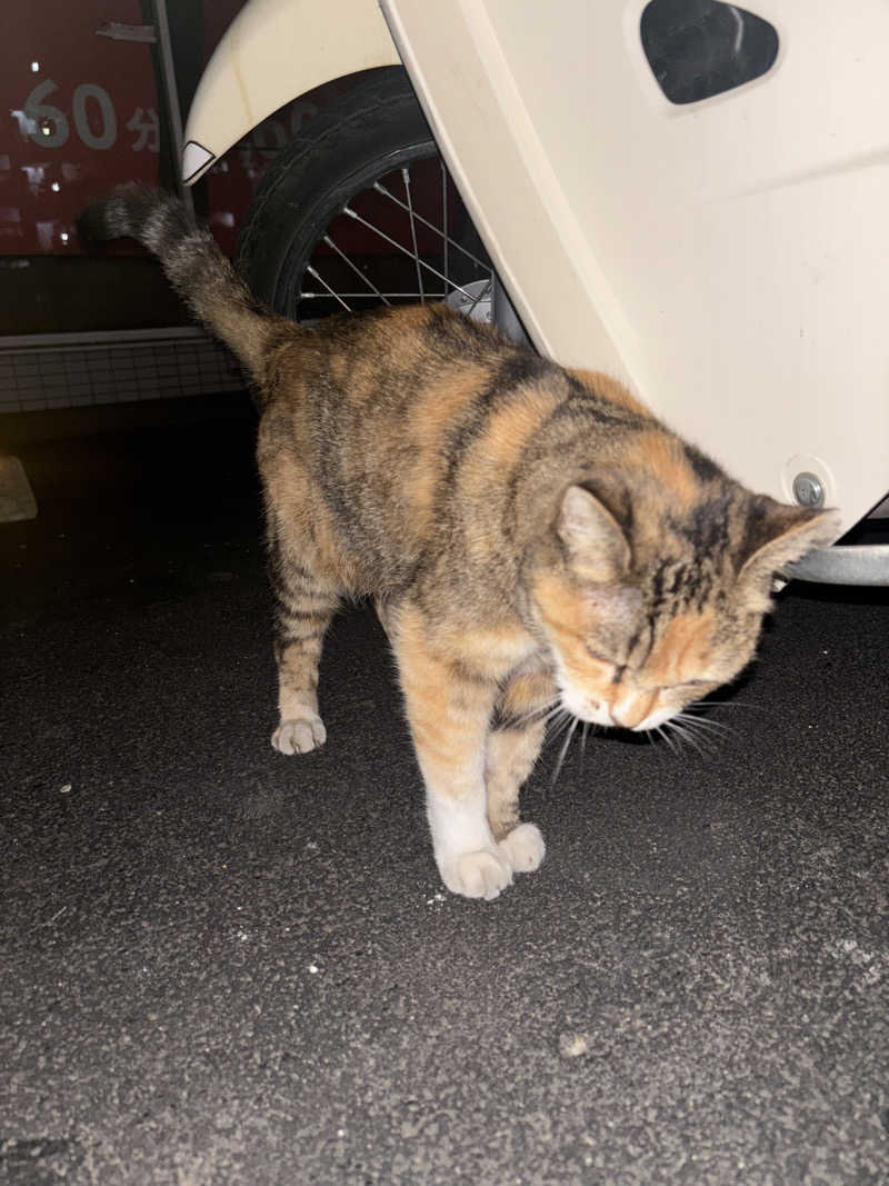 じもんさんの小松湯のサ活写真