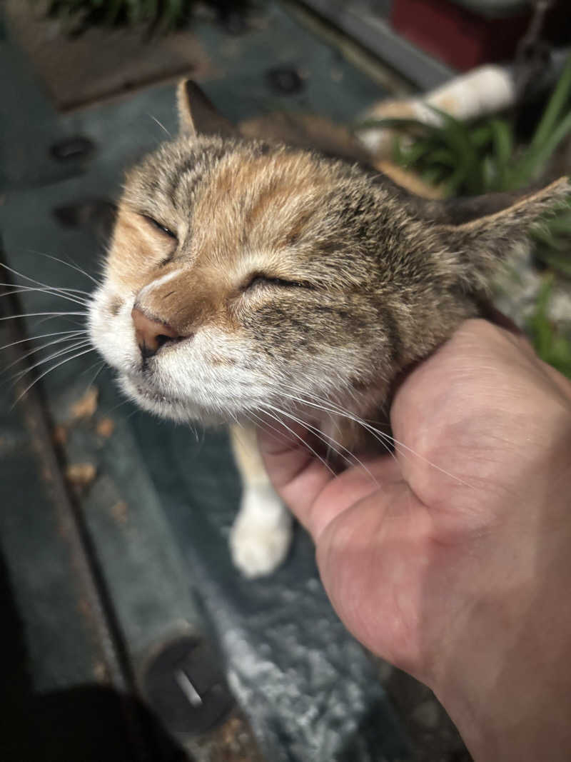 じもんさんの小松湯のサ活写真