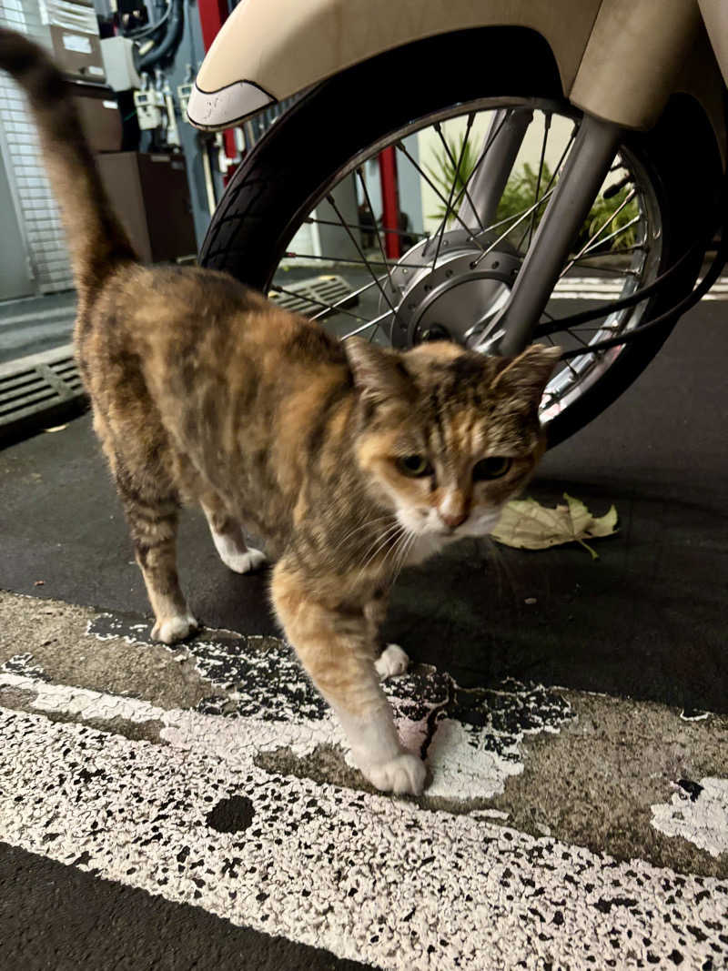 じもんさんの小松湯のサ活写真