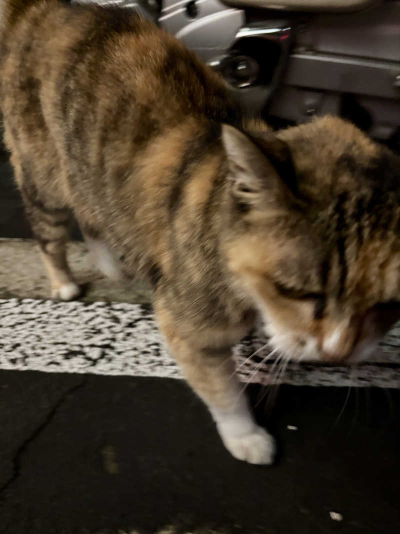 じもんさんの小松湯のサ活写真