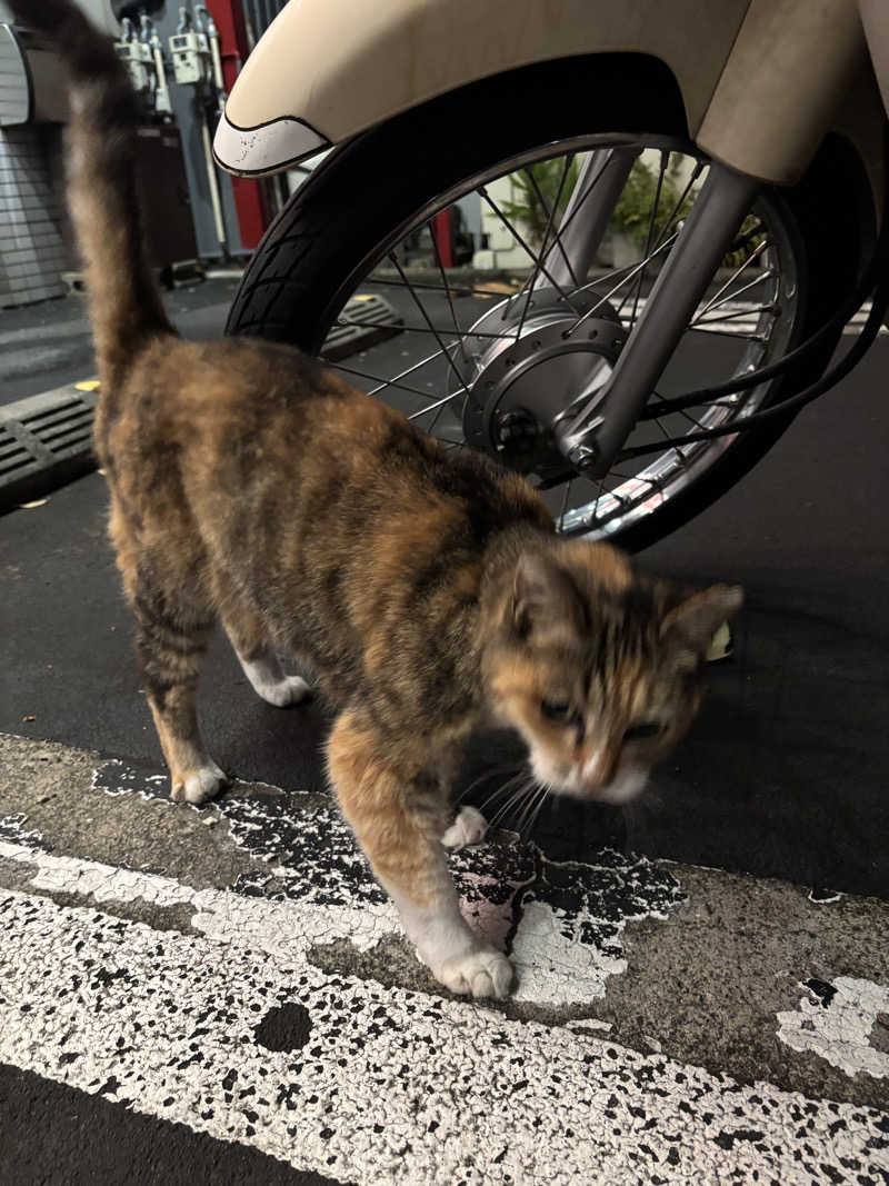 じもんさんの小松湯のサ活写真