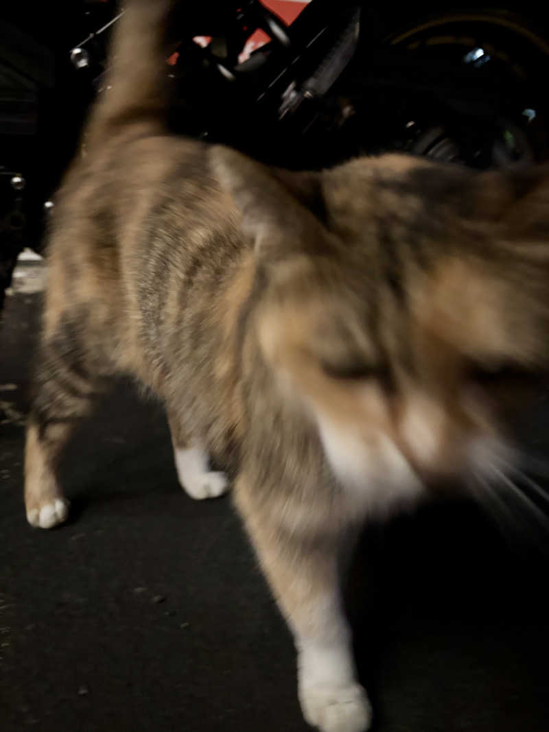 じもんさんのサウナきさらづ つぼやのサ活写真