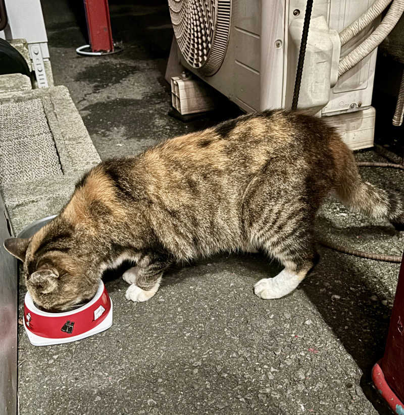 じもんさんのサウナきさらづ つぼやのサ活写真