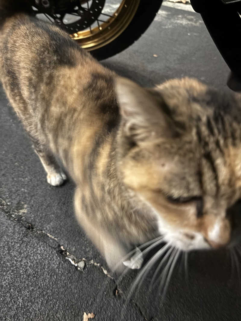 じもんさんの小松湯のサ活写真