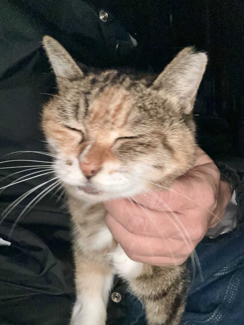 じもんさんの小松湯のサ活写真