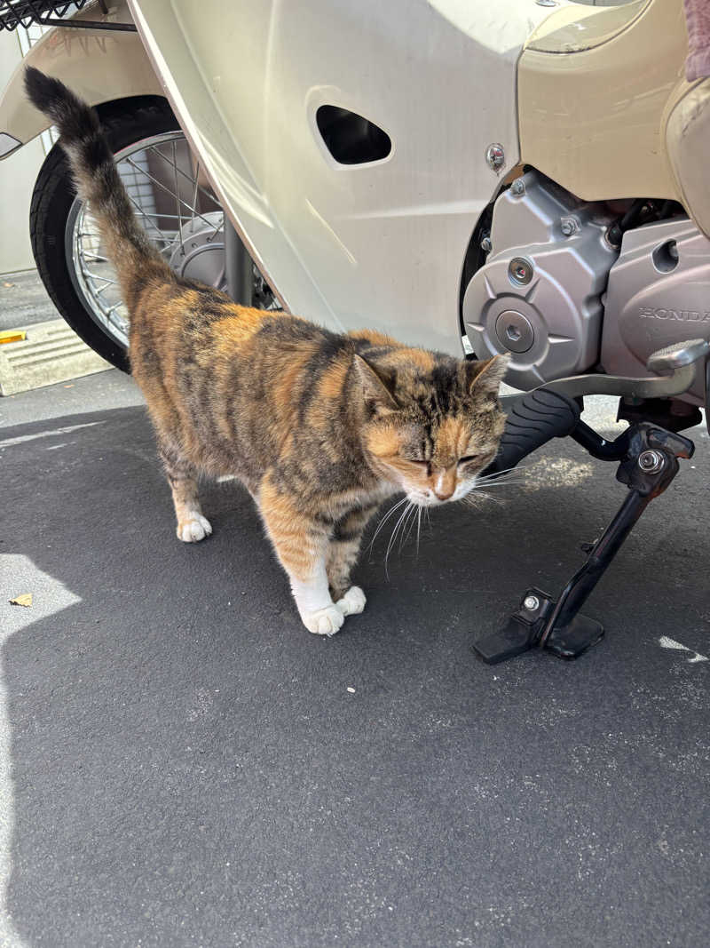 じもんさんの小松湯のサ活写真