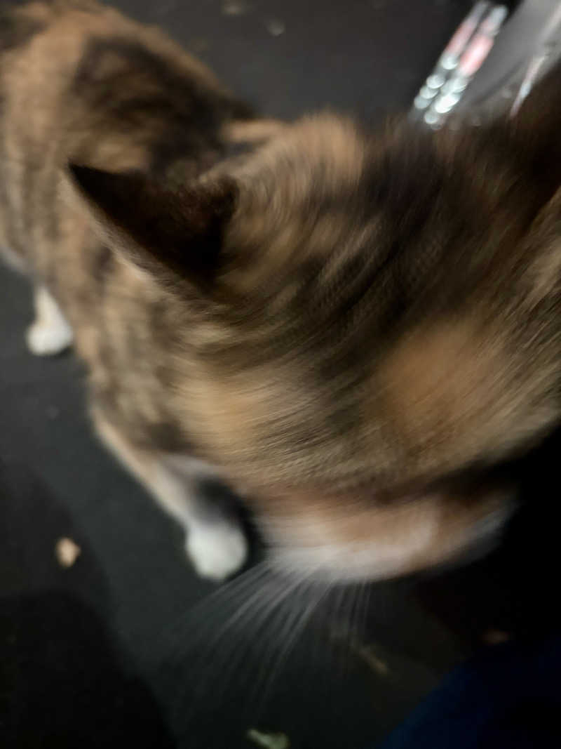 ふわふわニキさんの小松湯のサ活写真
