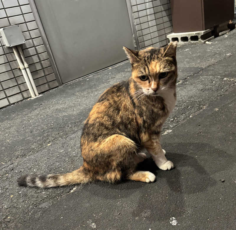 ふわふわニキさんの小松湯のサ活写真