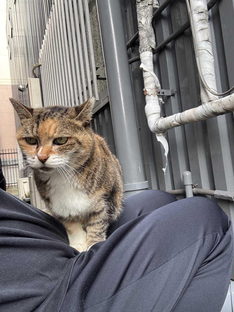 じもんさんの小松湯のサ活写真