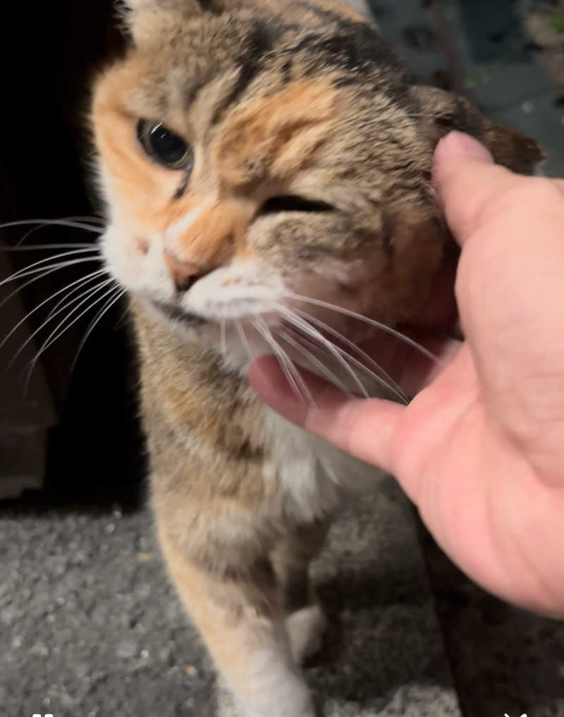 じもんさんの恵びす温泉のサ活写真