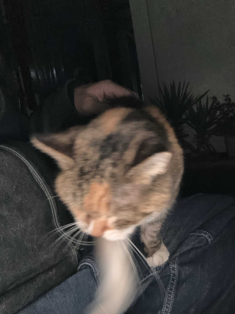 じもんさんの小松湯のサ活写真
