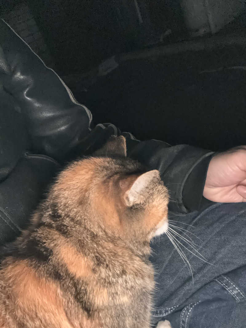 じもんさんの小松湯のサ活写真