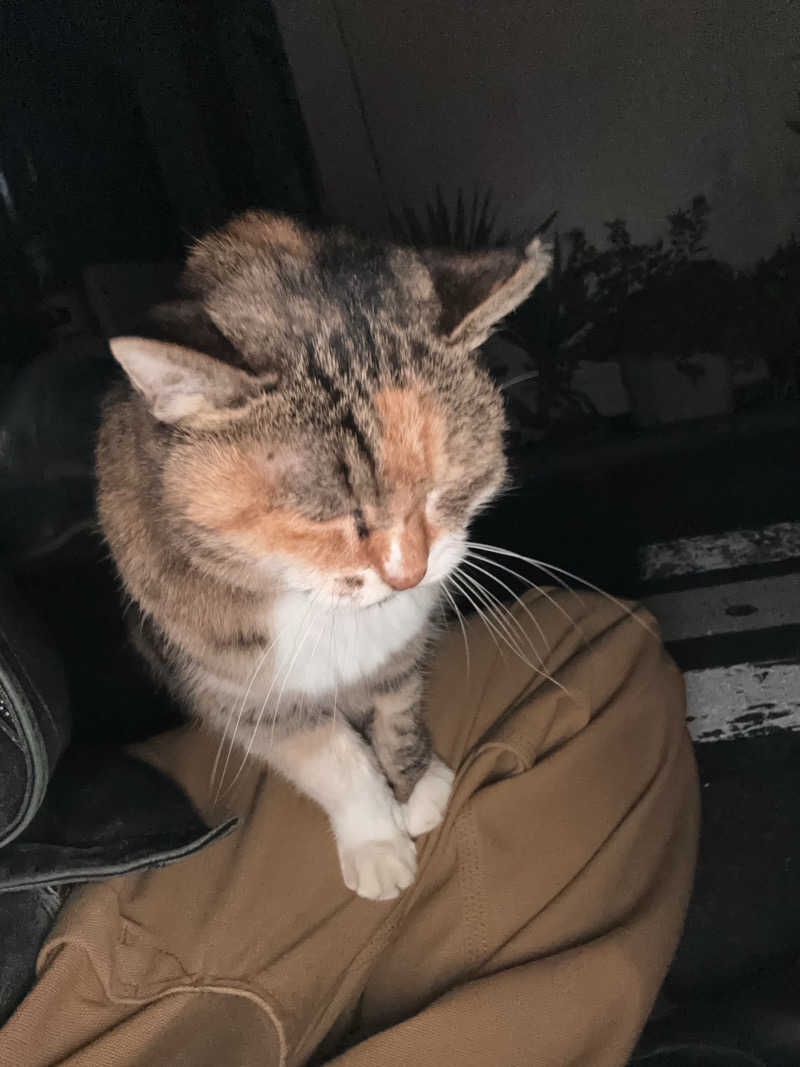 じもんさんの小松湯のサ活写真