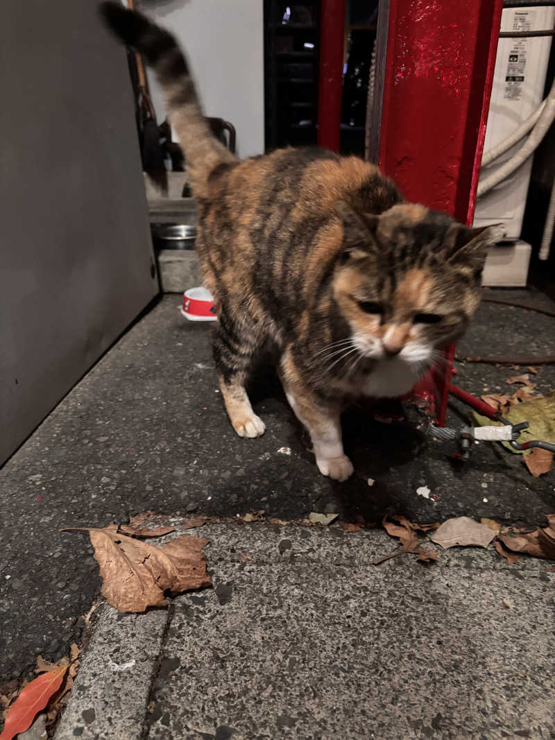 じもんさんの恵びす温泉のサ活写真