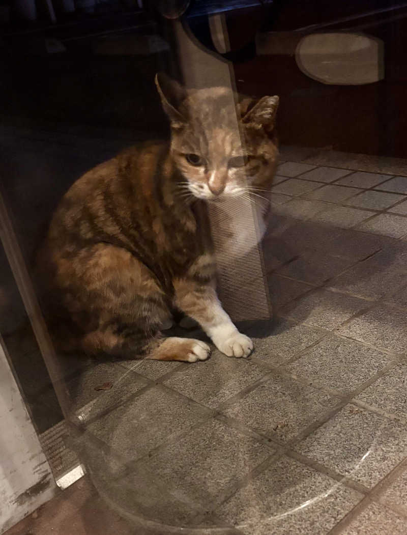 じもんさんの小松湯のサ活写真