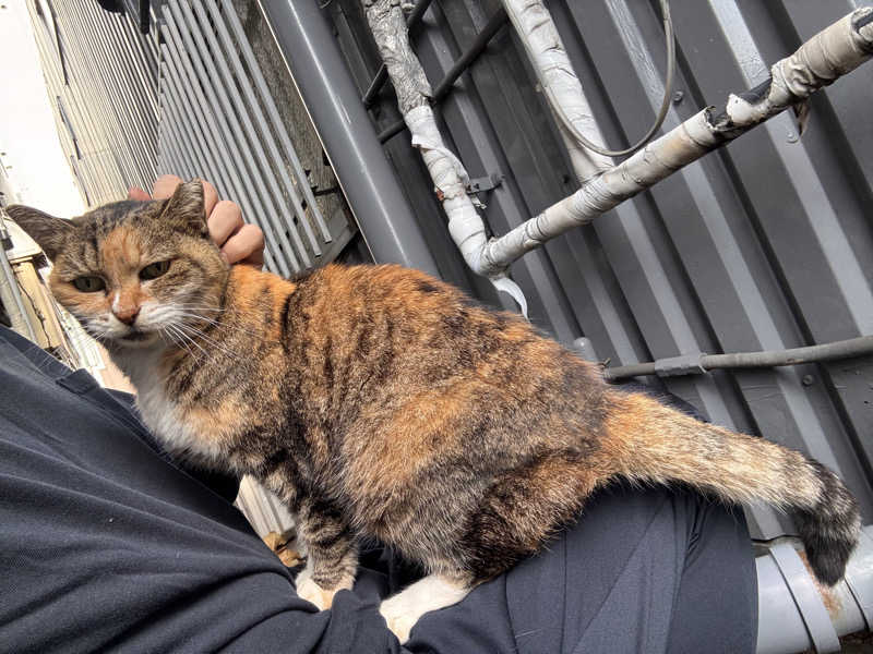 じもんさんの恵びす温泉のサ活写真