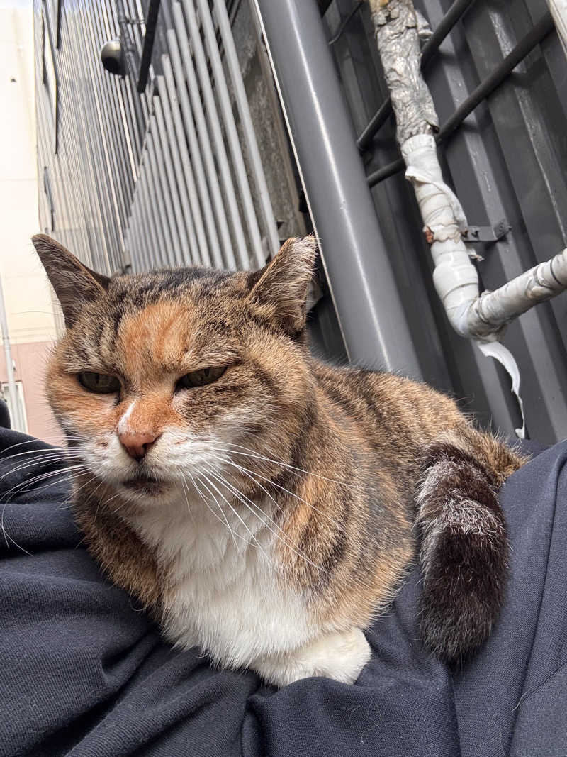 じもんさんの恵びす温泉のサ活写真