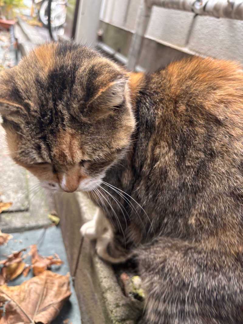 じもんさんの恵びす温泉のサ活写真