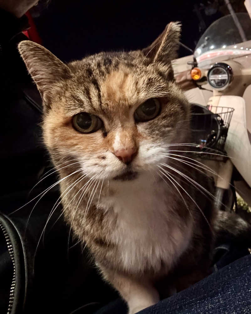 じもんさんの恵びす温泉のサ活写真