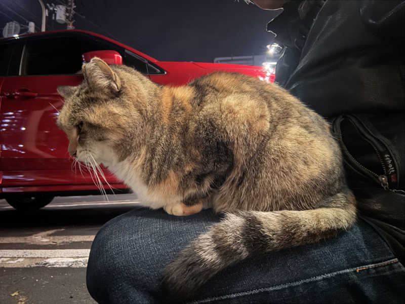 じもんさんの恵びす温泉のサ活写真