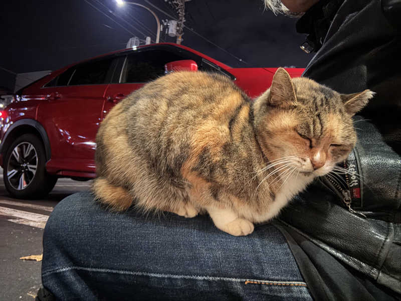 じもんさんの恵びす温泉のサ活写真