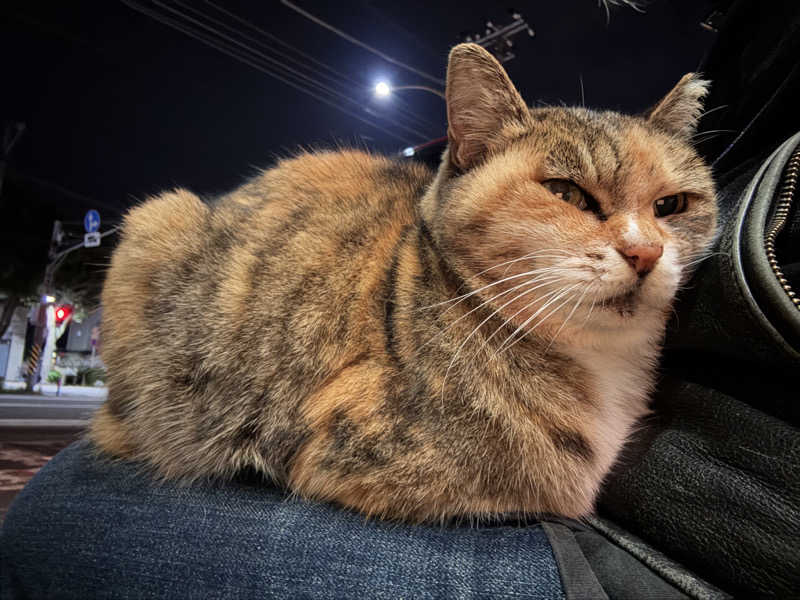 じもんさんの恵びす温泉のサ活写真