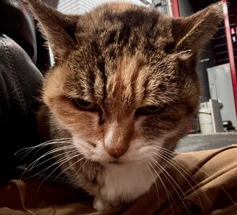 じもんさんの小松湯のサ活写真