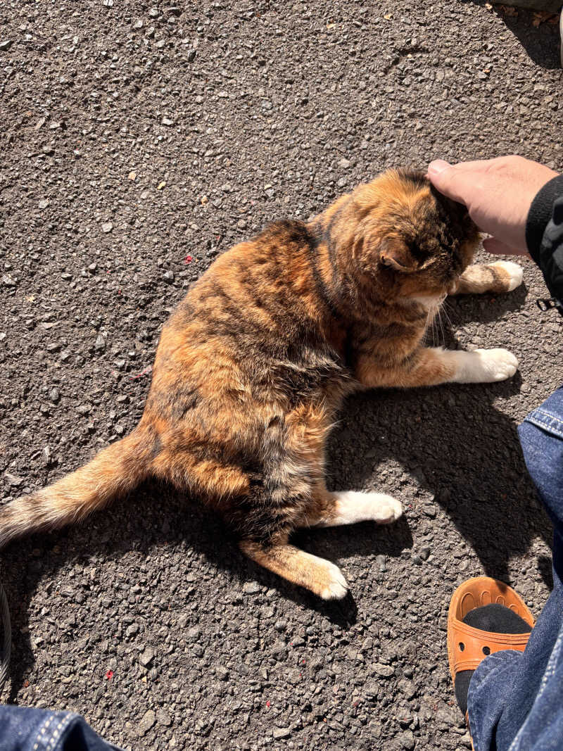 じもんさんの湯あそびひろば 葛の湯のサ活写真