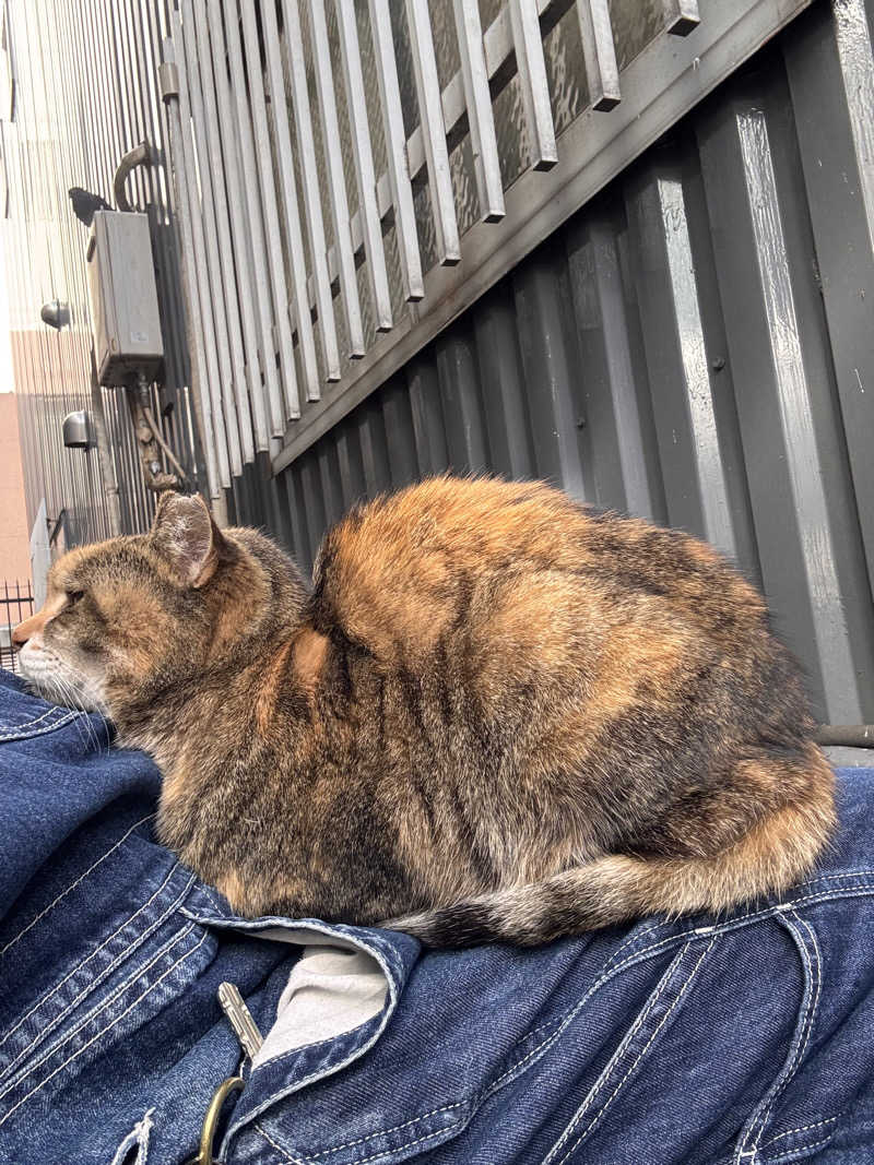 じもんさんの小松湯のサ活写真