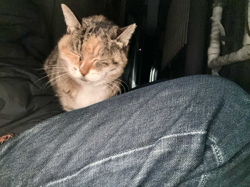 じもんさんの恵びす温泉のサ活写真