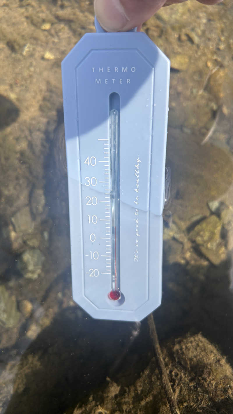 サウナ太郎さんの南光自然観察村フィンランドサウナのサ活写真