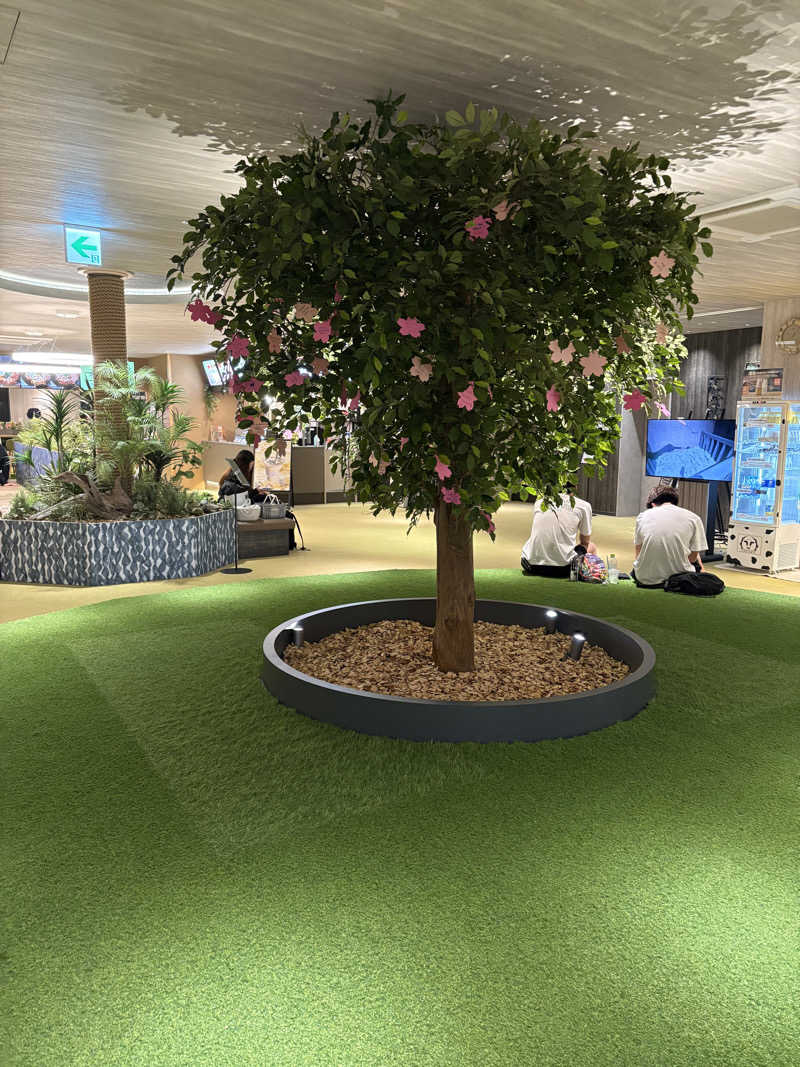 naoki1990さんの花園温泉 sauna kukkaのサ活写真