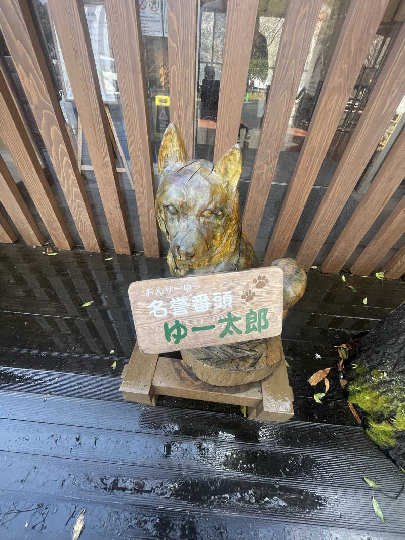 蒸しKINGさんのモダン湯治 おんりーゆーのサ活写真