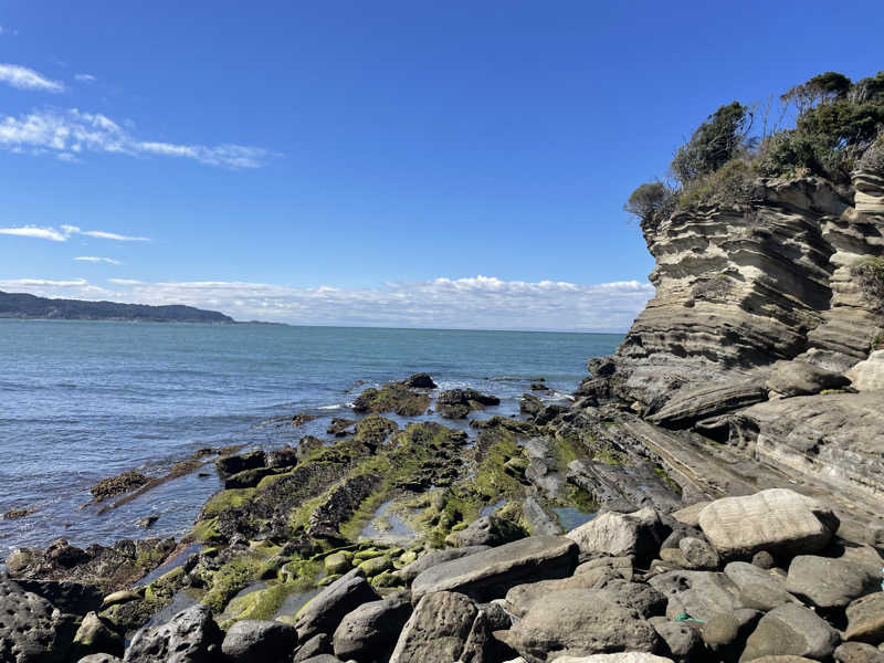 蒸しKINGさんの夢みさきのサ活写真