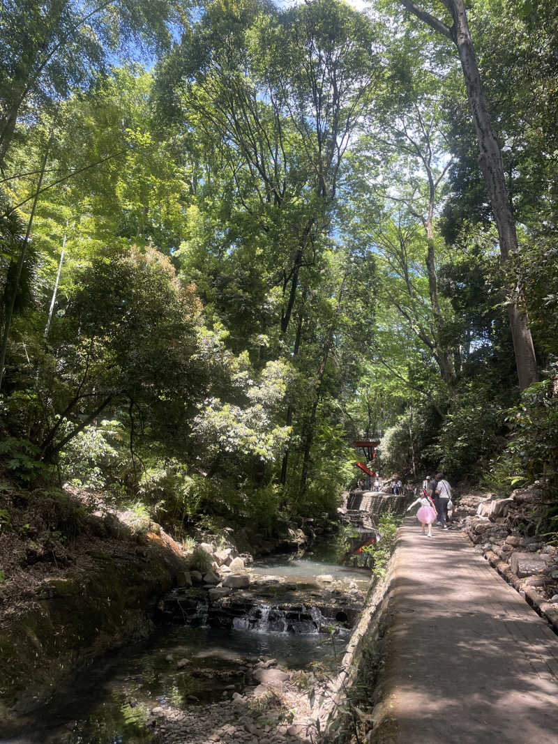 蒸しKINGさんの徳の湯のサ活写真