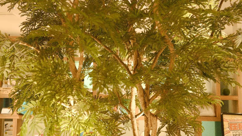 BINOさんのサウナ&スパ カプセルホテル 大東洋のサ活写真